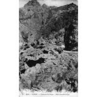 รูปถ่าย ฝรั่งเศส(France) คอร์สิคา(Corsica) โปสการ์ดเก่า(Old Postcards) 1900-01 27