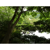 รูปถ่าย ญี่ปุ่น(Japan) เกียวโต(Kyoto) วัดเรียวอันจิ(Ryoanji Temple) 2010-06 47