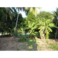 รูปถ่าย ไทย(Thailand) พิษณุโลก(Phitsanulok) จอมทอง(Chom Thong) 2009-12 16