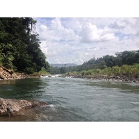รูปถ่าย คอสตาริกา(Costa Rica) แม่น้ำปากัวเร(Pacuare River) 2015-03 156