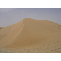 รูปถ่าย สหรัฐอาหรับเอมิเรตส์(United Arab Emirates) จากดูไบไปถนนอัลอิน(Dubai to Al Ain road) 2005-03 33