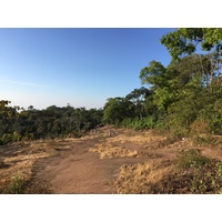 รูปถ่าย ไทย(Thailand) อุทยานแห่งชาติภูหินร่องกล้า(Phu Hin Rong Kla National Park) 2014-12 121