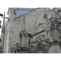รูปถ่าย ฝรั่งเศส(France) ปารีส(Paris) มหาวิหารน็อทร์-ดาม(Notre Dame) 2007-05 93