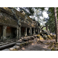 รูปถ่าย กัมพูชา(Cambodia) เสียมราฐ(Siem Reap) ปราสาทตาพรหม(Ta Prohm) 2023-01 34