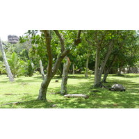 รูปถ่าย เซเชลส์(Seychelles) เกาะกร็องด์เซอร์(Grande Soeur) 2011-10 37