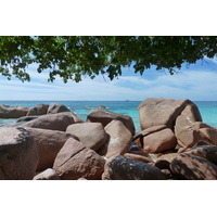 รูปถ่าย เซเชลส์(Seychelles) อ่าวอ็องส์ลาซิโอ(Anse Lazio) 2011-10 118