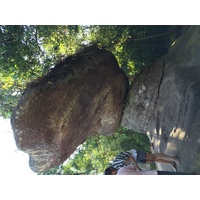 รูปถ่าย ไทย(Thailand) อุทยานแห่งชาติภูหินร่องกล้า(Phu Hin Rong Kla National Park) 2014-12 144