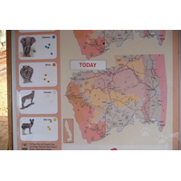 รูปถ่าย แอฟริกาใต้(South Africa) อุทยานแห่งชาติครูเกอร์(Kruger National Park) 2008-09 37