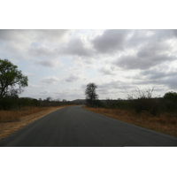 รูปถ่าย แอฟริกาใต้(South Africa) อุทยานแห่งชาติครูเกอร์(Kruger National Park) 2008-09 97