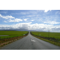 รูปถ่าย แอฟริกาใต้(South Africa) ถนนจากเฮอร์มานัสไปไนส์นา(Harmanus to Knysna road) 2008-09 33