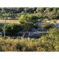 รูปถ่าย กวาเดอลูป(Guadeloupe) แซ็งตาน(Sainte Anne) 2021-02 112