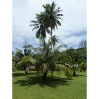 รูปถ่าย เซเชลส์(Seychelles) เกาะกร็องด์เซอร์(Grande Soeur) 2011-10 96