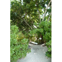 รูปถ่าย เซเชลส์(Seychelles) อ่าวอ็องส์ลาซิโอ(Anse Lazio) 2011-10 90