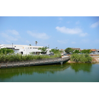 รูปถ่าย อิสราเอล(Israel) เทลอาวีฟ(Tel Aviv) ถนนโรกัค(Rokach Street) 2007-06 28
