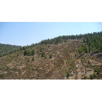 รูปถ่าย อิสราเอล(Israel) ถนนจากอัชเคลอนไปอาราด(Ashkelon to Arad road) 2007-06 152