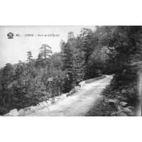 รูปถ่าย ฝรั่งเศส(France) คอร์สิคา(Corsica) โปสการ์ดเก่า(Old Postcards) 1900-01 241